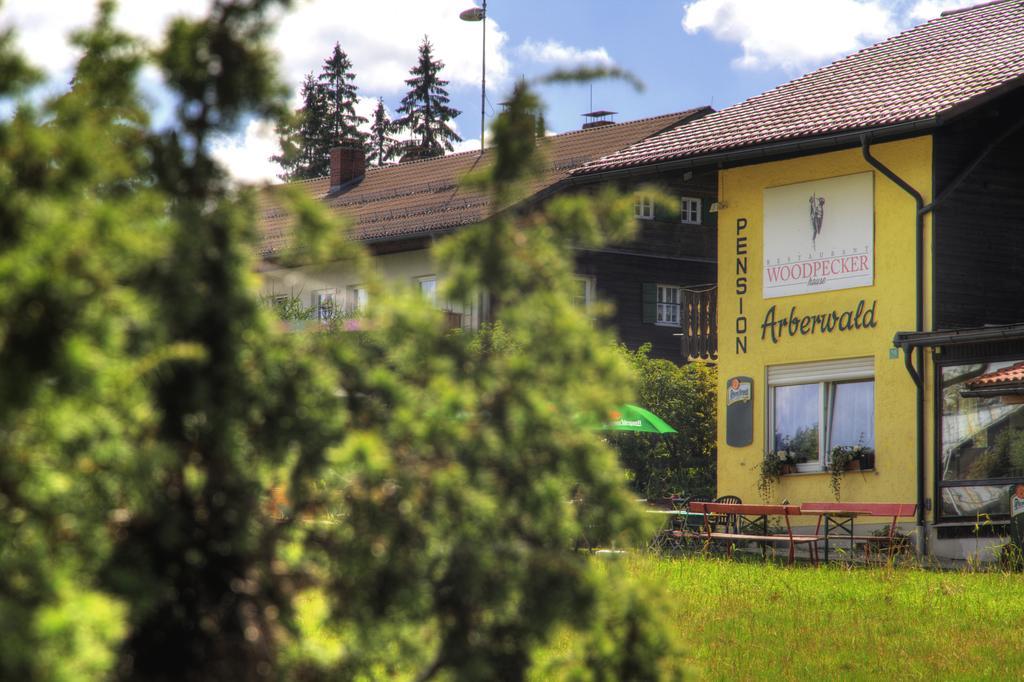 Pension Arberwald Bayerisch Eisenstein Exterior photo